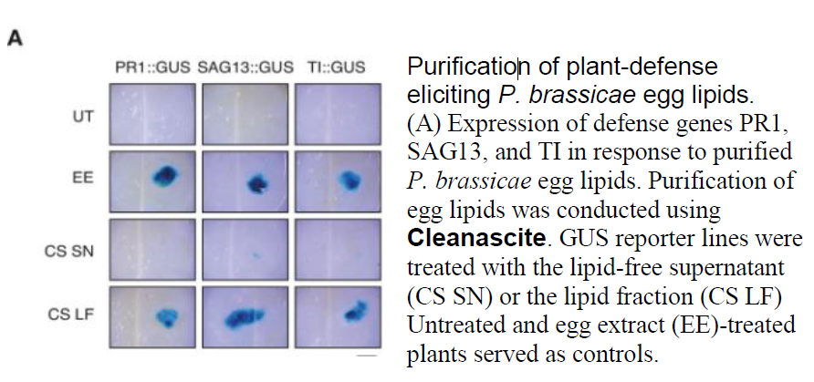 Research Article Cites Cleanascite™ In Lipid Factor Determination of Immune Response in Plants